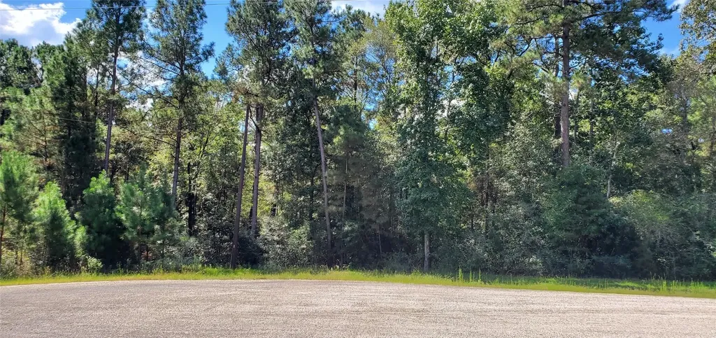 Cougar Court Huntsville TX 77340