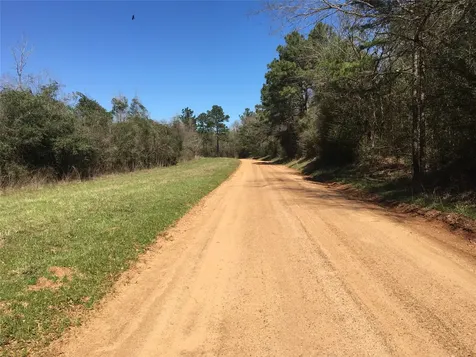 Lot 8 County Road 175 Garrison TX 75946