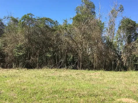 Lot 8 County Road 175 Garrison TX 75946