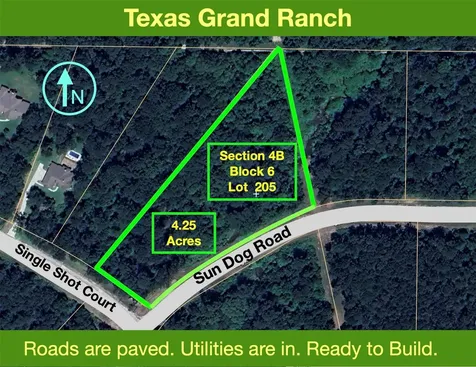 4B-6-205 Single Shot Court Huntsville TX 77340