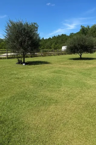 805 County Road 3550 Cleveland TX 77327