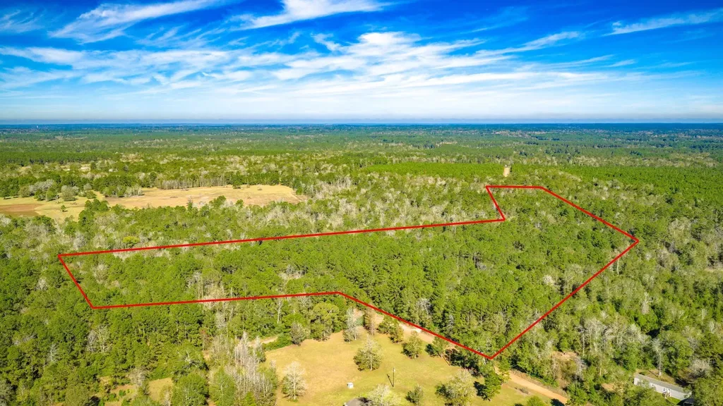 Lot 2 & 3 Portico Livingston TX 77351