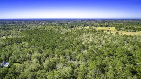Lot 2 & 3 Portico Livingston TX 77351