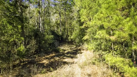 Lot 2 & 3 Portico Livingston TX 77351