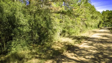 Lot 2 & 3 Portico Livingston TX 77351