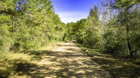 Lot 2 & 3 Portico Livingston TX 77351