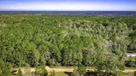 Lot 2 & 3 Portico Livingston TX 77351
