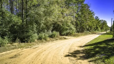 Lot 2 & 3 Portico Livingston TX 77351