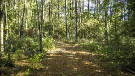 Lot 2 & 3 Portico Livingston TX 77351