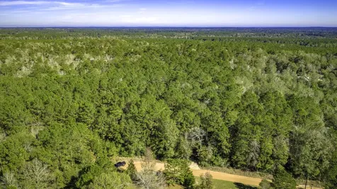 Lot 2 & 3 Portico Livingston TX 77351
