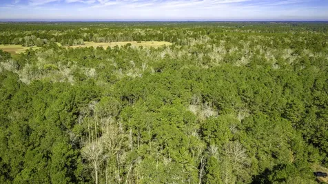 Lot 2 & 3 Portico Livingston TX 77351