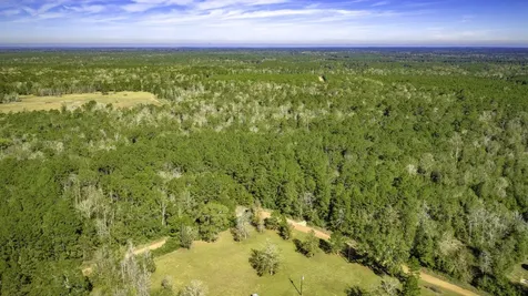 Lot 2 & 3 Portico Livingston TX 77351