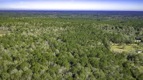 Lot 2 & 3 Portico Livingston TX 77351