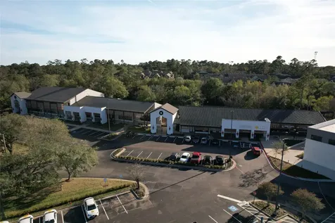 4 N Autumnwood Way The Woodlands TX 77380