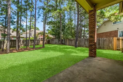 10 Majolica Place The Woodlands TX 77382
