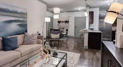 2539 Spring Cypress Road 6304 Spring TX 77388