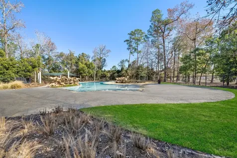 28491 Rose Vervain Drive Spring TX 77386