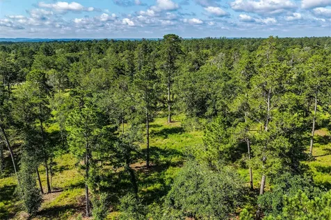 14.5 Acres Westview Drive Huntsville TX 77320