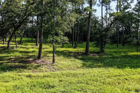 14.5 Acres Westview Drive Huntsville TX 77320