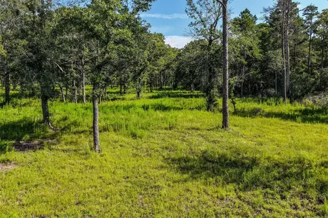 14.5 Acres Westview Drive Huntsville TX 77320