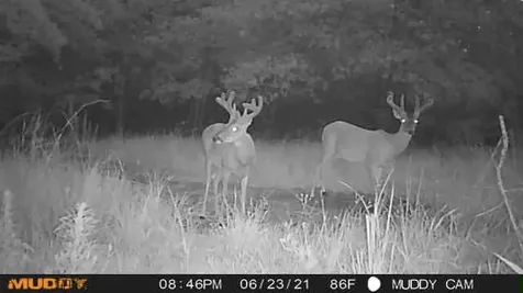 0 Pr 3420 Jewett TX 75846