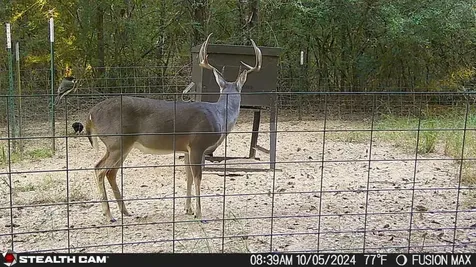 0 Pr 3420 Jewett TX 75846