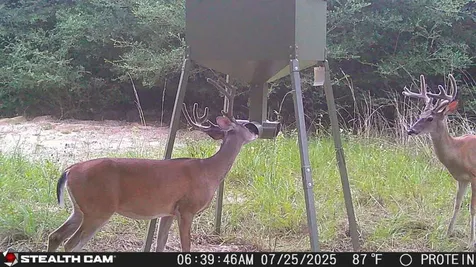 0 Pr 3420 Jewett TX 75846