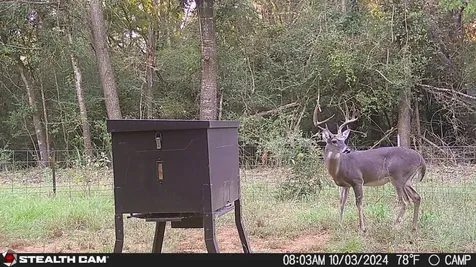 0 Pr 3420 Jewett TX 75846