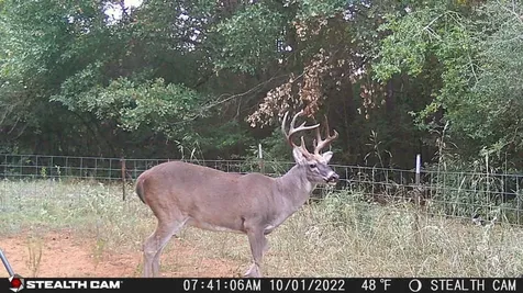 0 Pr 3420 Jewett TX 75846