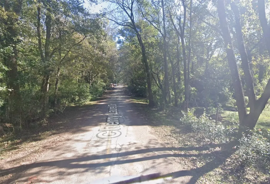 120 Cherry Laurel Street Huffman TX 77336