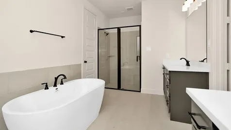 227 Mandarin Mist Street Richmond TX 77406
