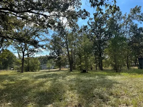 1065 Fm 2457 Livingston TX 77351