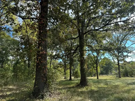 1065 Fm 2457 Livingston TX 77351