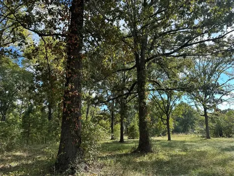 1065 Fm 2457 Livingston TX 77351