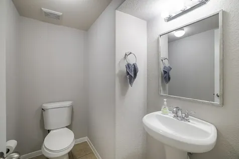 210 Black Swan Place The Woodlands TX 77354