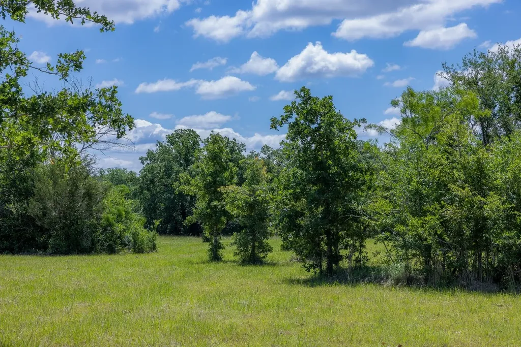 6798 Atakapan Trail Bedias TX 77831