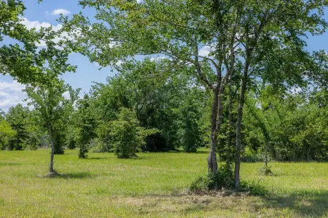 6798 Atakapan Trail Bedias TX 77831
