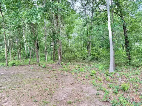 1184 County Road 2298 Cleveland TX 77327