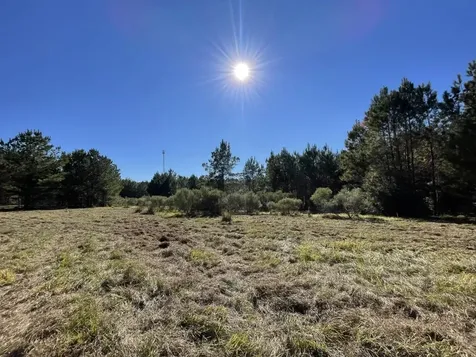 Lot 2 E Fm 942 Livingston TX 77351