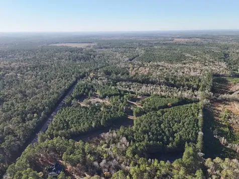Lot 2 E Fm 942 Livingston TX 77351