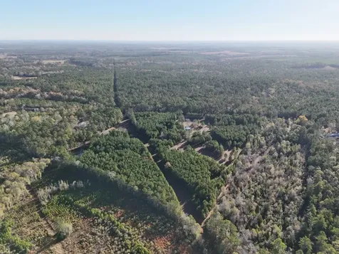 Lot 2 E Fm 942 Livingston TX 77351