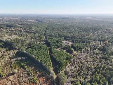 Lot 2 E Fm 942 Livingston TX 77351