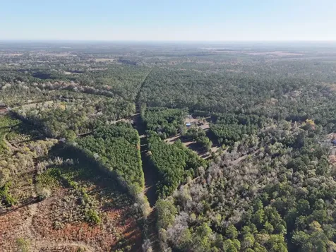Lot 2 E Fm 942 Livingston TX 77351