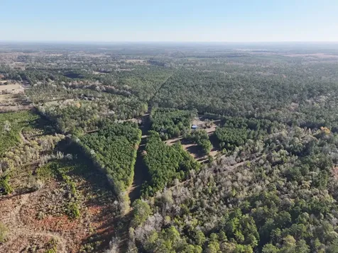 Lot 2 E Fm 942 Livingston TX 77351