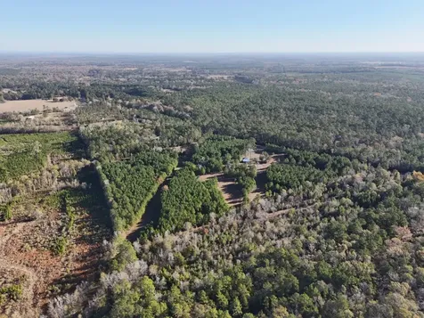 Lot 2 E Fm 942 Livingston TX 77351