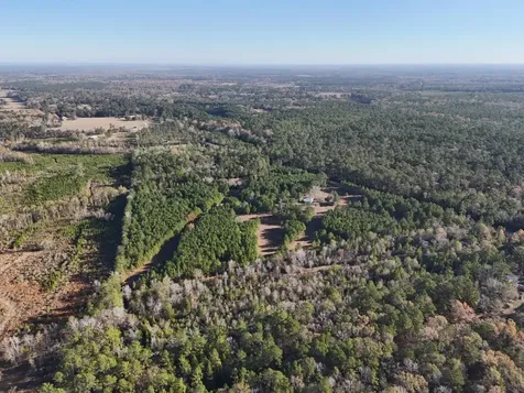 Lot 2 E Fm 942 Livingston TX 77351