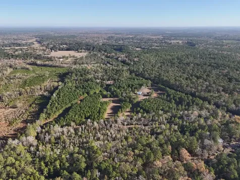 Lot 2 E Fm 942 Livingston TX 77351