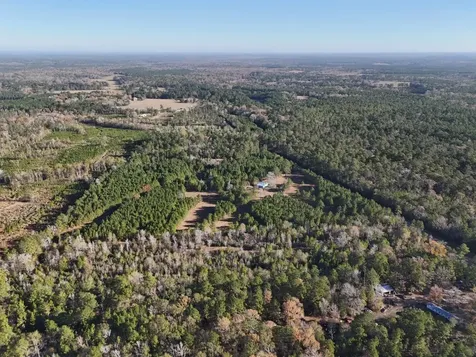 Lot 2 E Fm 942 Livingston TX 77351