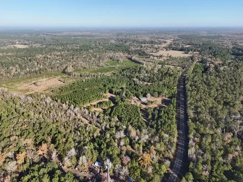 Lot 2 E Fm 942 Livingston TX 77351