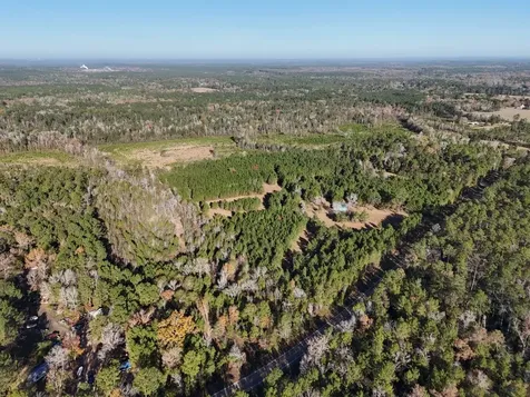 Lot 2 E Fm 942 Livingston TX 77351